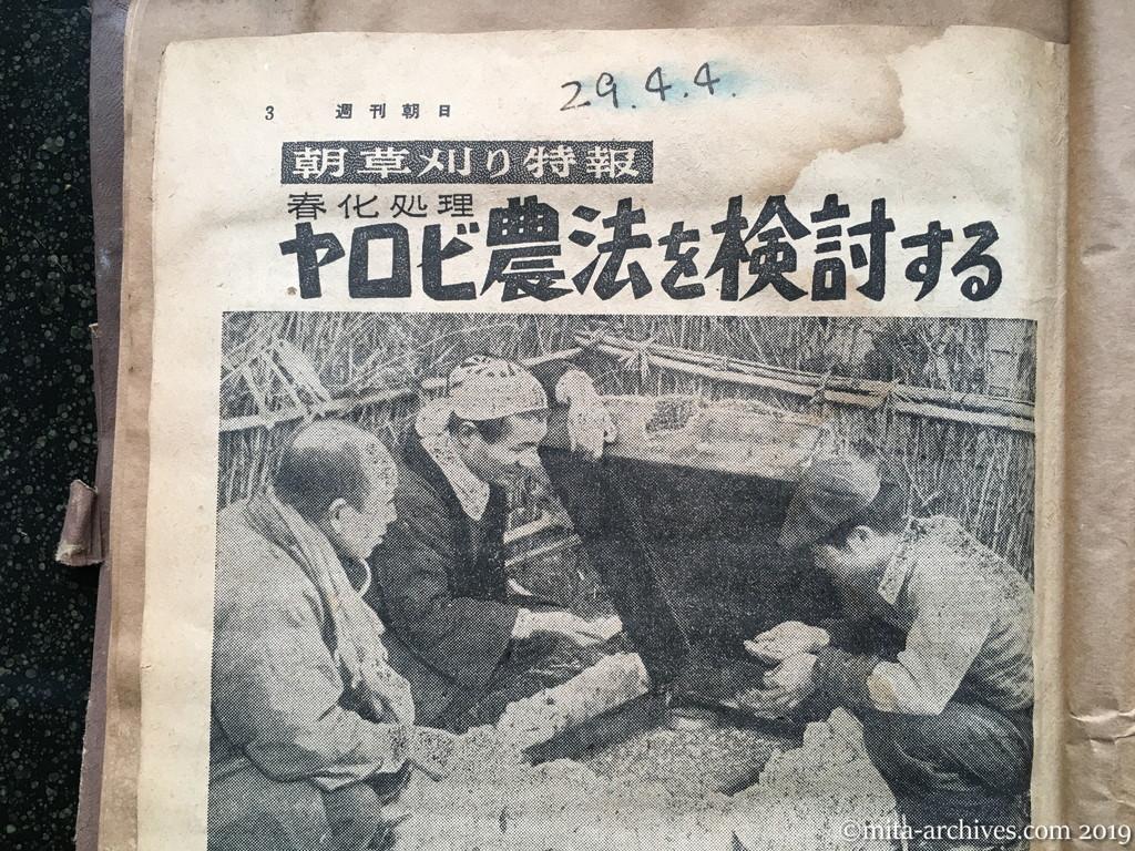 週刊朝日　p3　昭和29年（1954）4月4日　朝草刈り特報　春化処理　ヤロビ農法を検討する